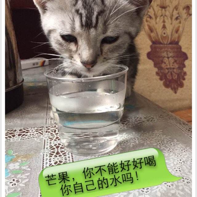 外国留学生学历学信网能查吗